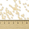Glass Seed Beads SEED-H002-H-1308-4
