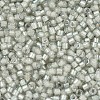 MIYUKI Delica Beads SEED-X0054-DB1711-3