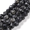 Natural Larvikite Beads Strands G-NH0021-A04-01-1