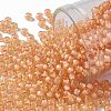 TOHO Round Seed Beads X-SEED-TR08-0301-1