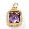 Real 18K Gold Plated Brass Inlaid Cubic Zirconia Charms ZIRC-L100-073G-05-3