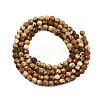 Natural Picture Jasper Beads Strands G-Z068-B02-01-3