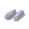 Natural Rainbow Alashan Agate Charms G-G194-05D-2