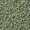 MIYUKI Delica Beads X-SEED-J020-DB2052-3