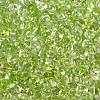 6/0 Spray Paint Glass Seed Beads X1-SEED-H003-11N-2