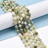 Natural Myanmar Jade Beads Strands G-P463-19-2