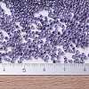 MIYUKI Delica Beads SEED-X0054-DB0250-3