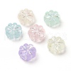 Transparent Frosted Acrylic Beads OACR-C013-31-1