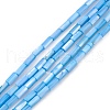 Natural Freshwater Shell Dyed Beads Strands X-SHEL-M018-11-06-1