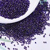 MIYUKI Delica Beads X-SEED-J020-DB0609-1