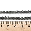 Natural Labradorite Beads Strands G-L622-C03-4mm-5