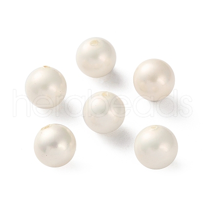 Shell Pearl Beads BSHE-XCP0001-80A-1