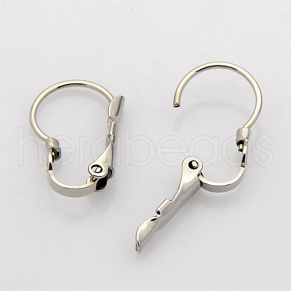 Tarnish Resistant 304 Stainless Steel Leverback Earring Findings STAS-N019-04-1