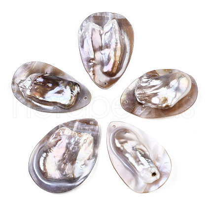 Natural Freshwater Shell SHEL-Q312-005-1