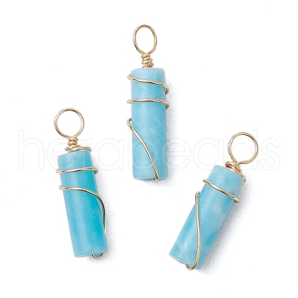 Dyed Synthetic Imperial Jasper Copper Wire Wrapped Pendants PALLOY-JF03457-02-1