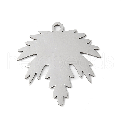 304 Stainless Steel Pendants STAS-S155-01P-02-1