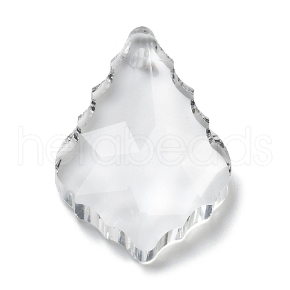 Transparent Glass Pendants GLAA-R223-16-1