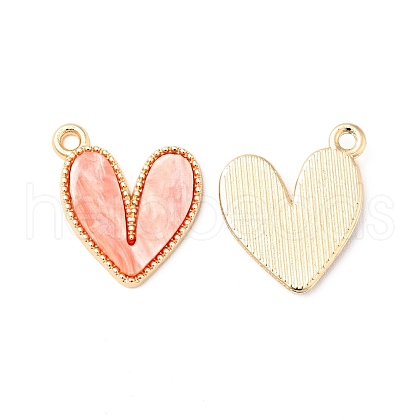 Acrylic Pendants FIND-B011-01E-1