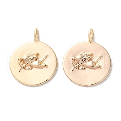 Brass Pendants KK-C079-02G-1