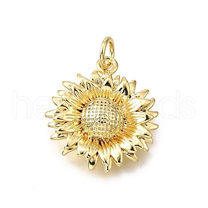 Brass Pendants KK-V011-41G-1