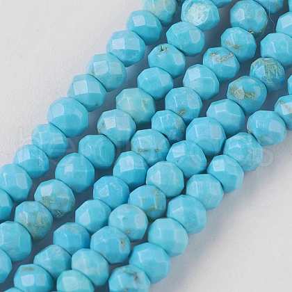 Natural Howlite Beads Strands TURQ-K004-06A-1