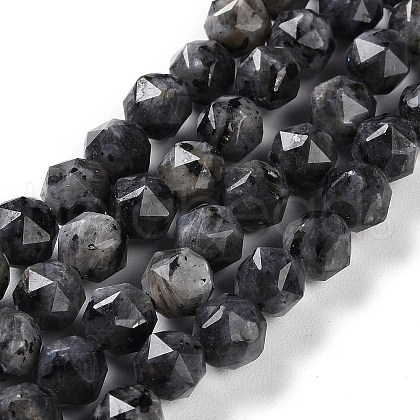 Natural Larvikite Beads Strands G-NH0021-A04-01-1