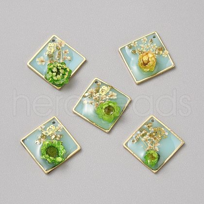 Resin Pendants RESI-TAC0010-96A-1