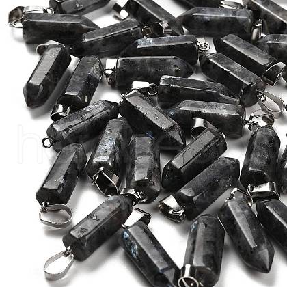 Natural Labradorite Pendants G-Z067-07P-24-1