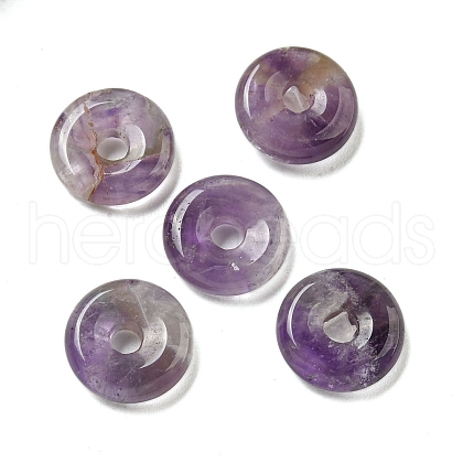 Natural Amethyst Donut/Pi Disc Charms G-G142-01S-1
