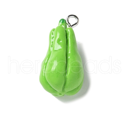 Resin Iron Pendants RESI-D280-15-1