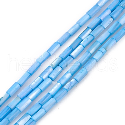 Natural Freshwater Shell Dyed Beads Strands X-SHEL-M018-11-06-1