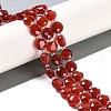 Natural Carnelian(Dyed & Heated) Beads Strands G-N342-19-1
