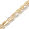 Natural Trochus Shell Beads PEAR-B002-01A-B-1