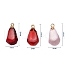 15Pcs 3 Colors Resin Pendants RESI-CJ0001-129-2