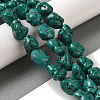 Natural Turquoise Beads Strands G-B078-D31-04-2