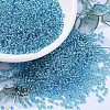 MIYUKI Round Rocailles Beads X-SEED-G007-RR2429-1