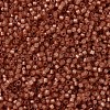 MIYUKI Delica Beads SEED-J020-DB2178-1