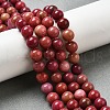 Dyed Natural Malaysia Jade Beads Strands G-G021-02B-19-4