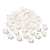 Acrylic Bead Caps OACR-Z028-03H-1