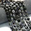 Natural Snowflake Obsidian Beads Strands G-C116-A138-01-1