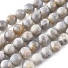 Natural Labradorite Beads Strands G-G212-8mm-23-7