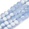Frosted Crackle Glass Beads Strands X1-GLAA-U001-8mm-M14-1