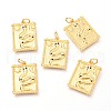 Brass Micro Pave Clear Cubic Zirconia Charms ZIRC-O036-20G-1