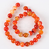Natural Striped Agate/Banded Agate Round Bead Strands G-E234-14-2