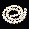 Natural Freshwater Shell Beads Strands SHEL-N003-31C-01-2
