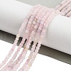 Natural Morganite Beads Strands G-H042-B05-01-2