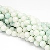 Faceted Round Natural Peru Amazonite Bead Strands G-L448-01-8mm-1