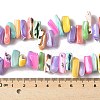 Dyed Natural Trochus Shell Beads Strands SSHEL-C013-09G-4