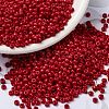 MIYUKI Round Rocailles Beads X-SEED-G008-RR0408-1