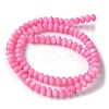 Natural Freshwater Shell Beads Strands SSHEL-C013-07F-2